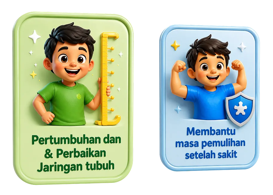 Pertumbuhan dan perbaikan jaringan tubuh, membantu masa pemulihan setelah sakit
