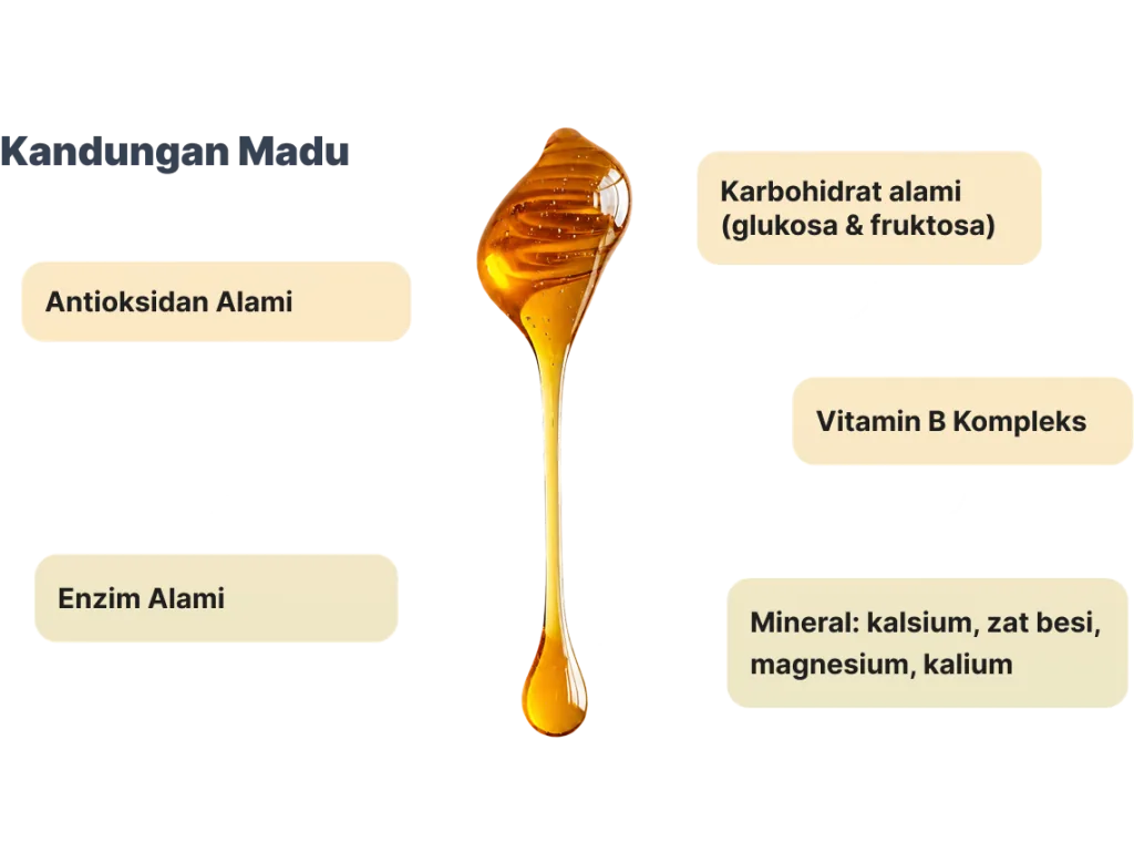 Kandungan madu: antioksidan alami, enzim alami, karbohidrat alami berupa glukosa dan fruktosa, vitamin B kompleks, serta mineral kalsium, zat besi, magnesium, dan kalium