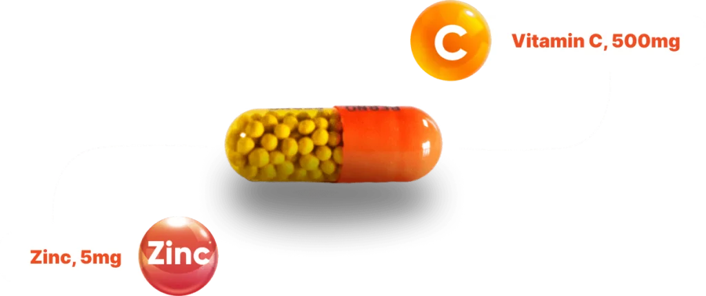 Kapsul Vitalong C dengan keterangan mengandung vitamin C 500 mg dan zinc 5 mg