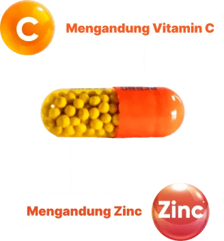 Kapsul Vitalong C dengan keterangan mengandung vitamin C 500 mg dan zinc 5 mg